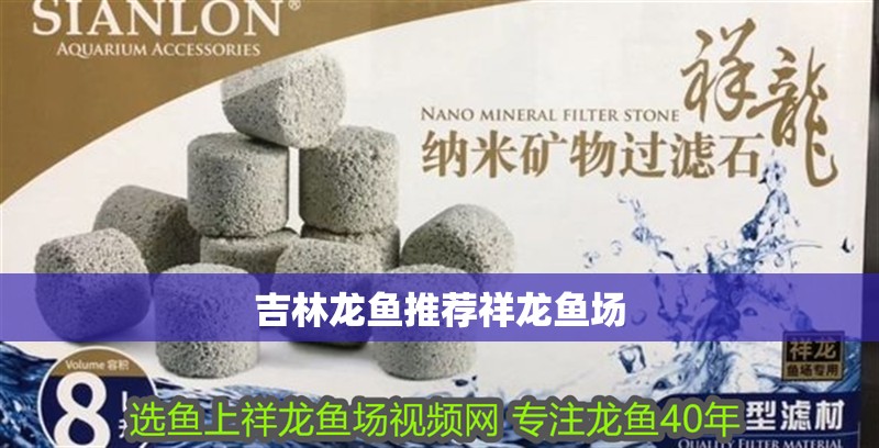 吉林龍魚推薦祥龍魚場