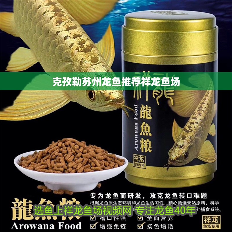 克孜勒蘇州龍魚推薦祥龍魚場
