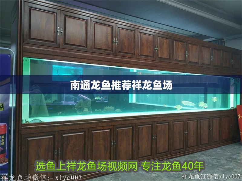 南通龍魚推薦祥龍魚場(chǎng)