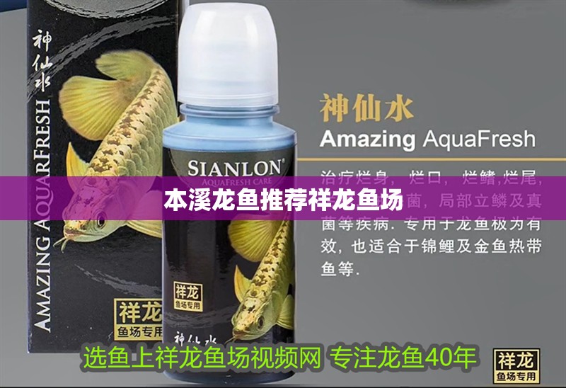 本溪龍魚推薦祥龍魚場(chǎng)