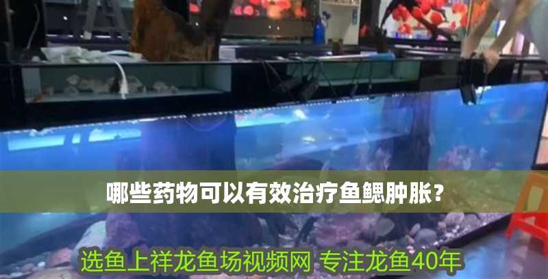 哪些藥物可以有效治療魚鰓腫脹？ 哪些藥物可以有效治療魚鰓腫脹？ 龍魚百科