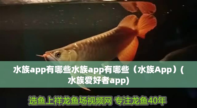 水族app有哪些水族app有哪些（水族App）(水族愛好者app)