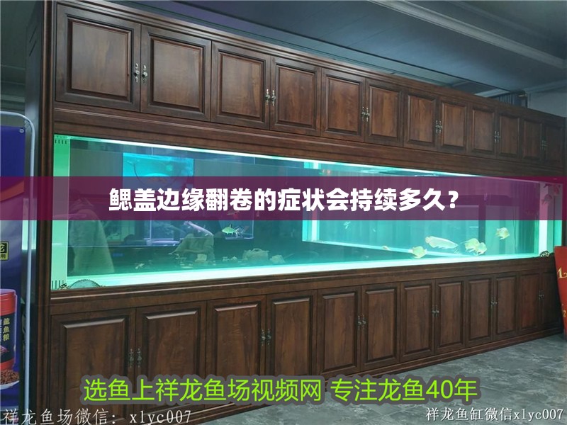 鰓蓋邊緣翻卷的癥狀會持續多久？