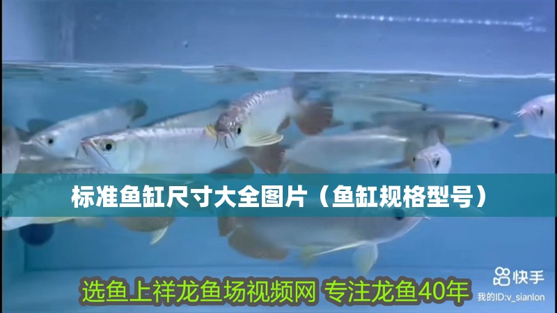 標準魚缸尺寸大全圖片（魚缸規格型號）