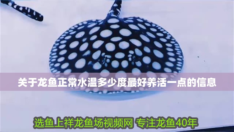 關于龍魚正常水溫多少度最好養活一點的信息