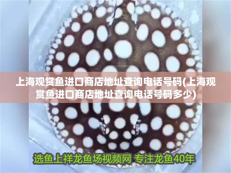 上海觀賞魚進口商店地址查詢電話號碼(上海觀賞魚進口商店地址查詢電話號碼多少)