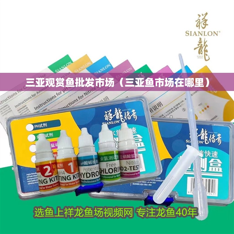 三亞觀賞魚批發(fā)市場(chǎng)（三亞魚市場(chǎng)在哪里）