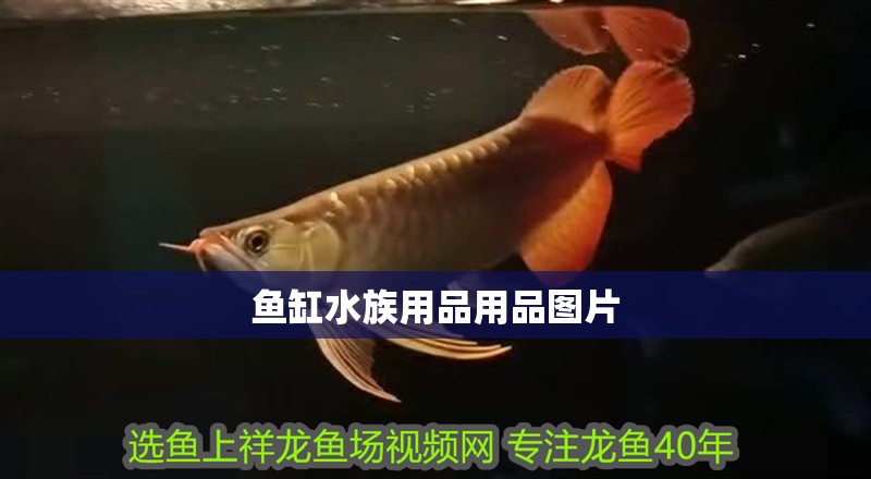魚缸水族用品用品圖片