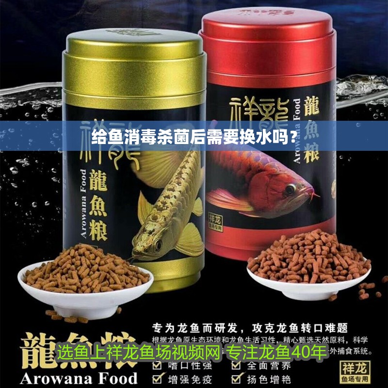 給魚消毒殺菌后需要換水嗎？