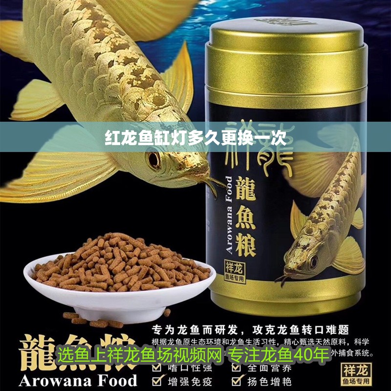 紅龍魚缸燈多久更換一次
