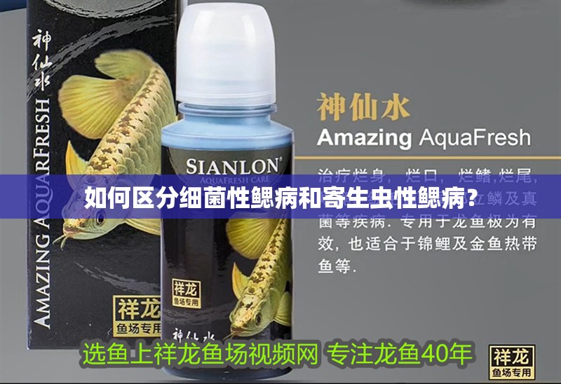如何區分細菌性鰓病和寄生蟲性鰓病？ 如何區分細菌性鰓病和寄生蟲性鰓病？ 龍魚百科