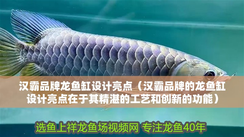 漢霸品牌龍魚缸設計亮點（漢霸品牌的龍魚缸設計亮點在于其精湛的工藝和創新的功能）