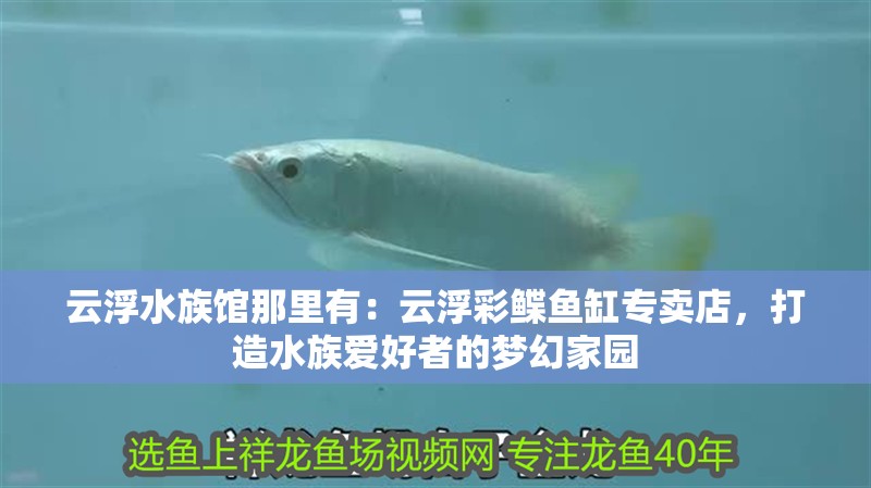 云浮水族館那里有：云浮彩鰈魚缸專賣店，打造水族愛好者的夢幻家園
