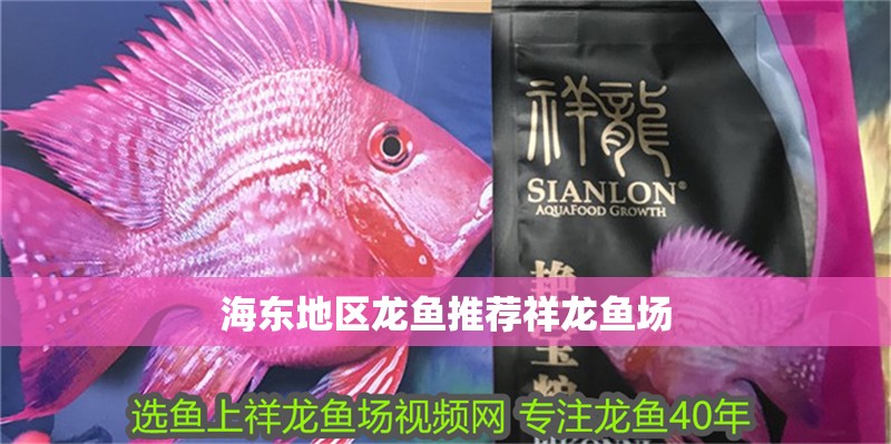 魚缸用增氧泵價格是多少:魚缸增氧機-xtrac增氧機-xtrac增氧機 海東地區龍魚推薦祥龍魚場 vs祥龍魚場 海東地區龍魚推薦祥龍魚場 海東地區龍魚推薦祥龍魚場 vs祥龍魚場