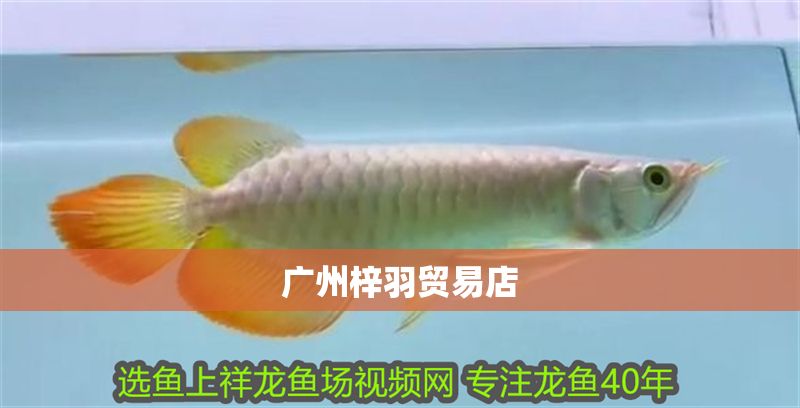 廣州梓羽貿易店