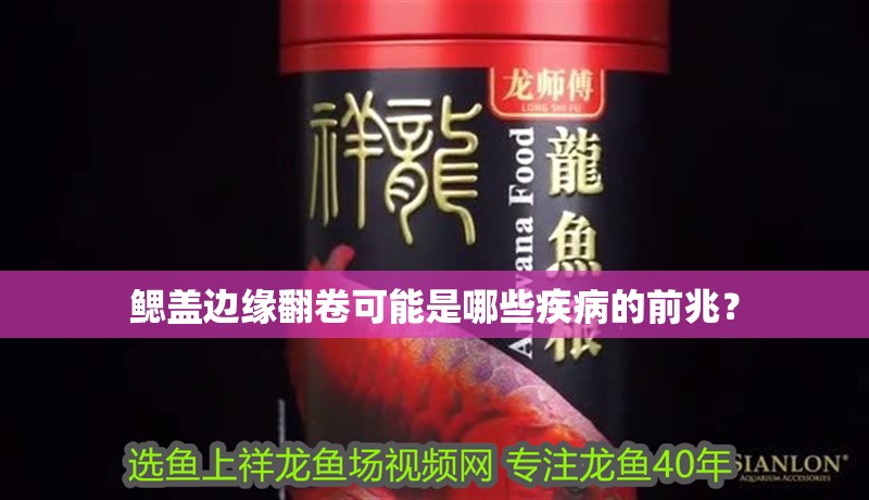 鰓蓋邊緣翻卷可能是哪些疾病的前兆？