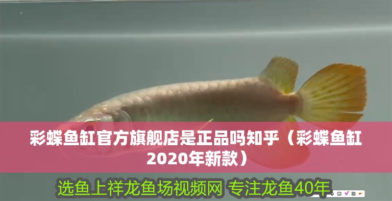 彩蝶魚缸官方旗艦店是正品嗎知乎（彩蝶魚缸2020年新款）