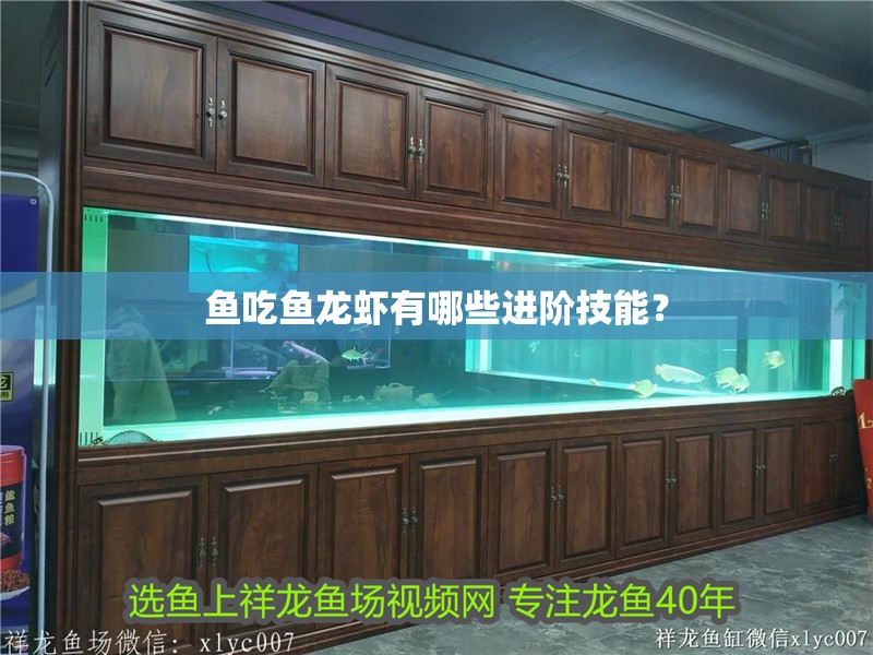 魚吃魚龍蝦有哪些進(jìn)階技能？ 魚吃魚龍蝦有哪些進(jìn)階技能？ 龍魚百科