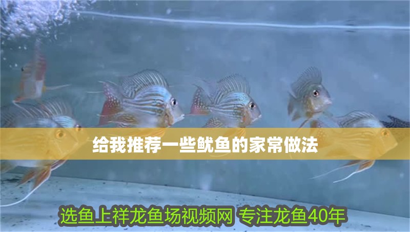 給我推薦一些魷魚(yú)的家常做法