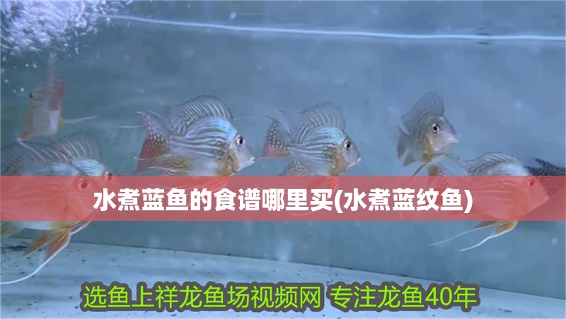 水煮藍(lán)魚的食譜哪里買(水煮藍(lán)紋魚)