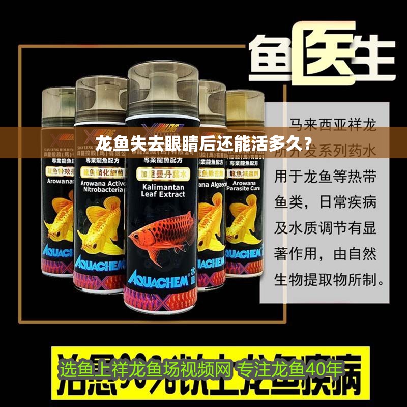 龍魚失去眼睛后還能活多久？
