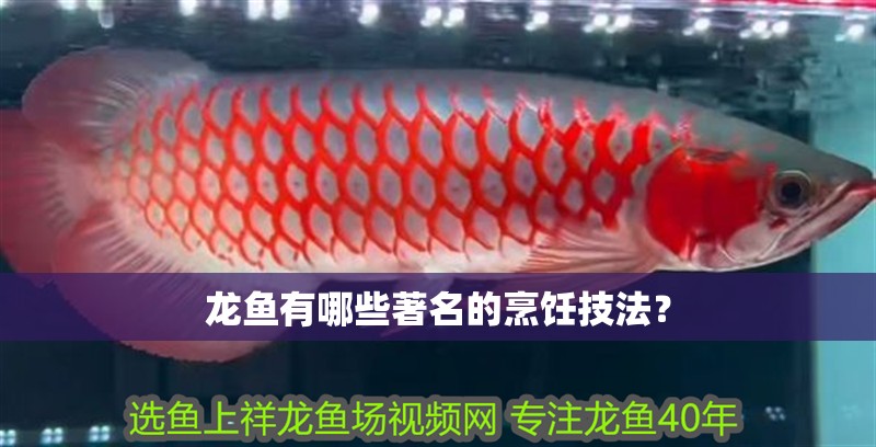 龍魚(yú)有哪些著名的烹飪技法？