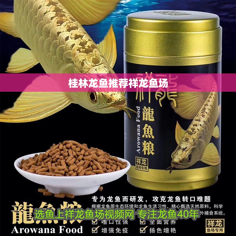 桂林龍魚推薦祥龍魚場