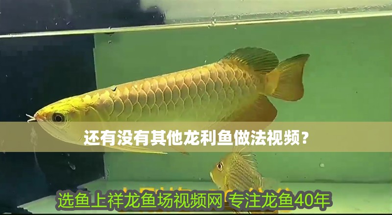 還有沒有其他龍利魚做法視頻？ 還有沒有其他龍利魚做法視頻？ 龍魚百科