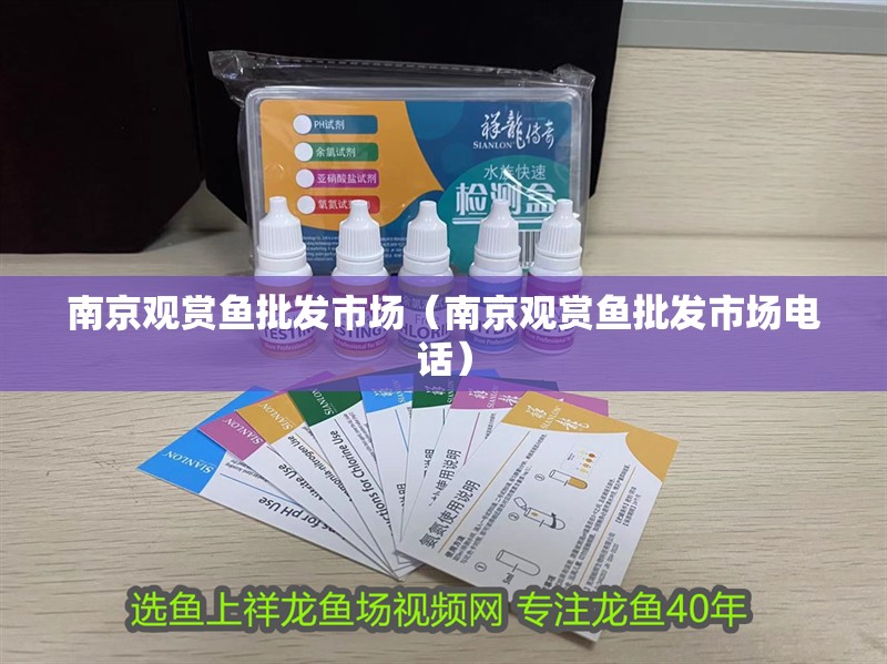 南京觀賞魚批發(fā)市場（南京觀賞魚批發(fā)市場電話）