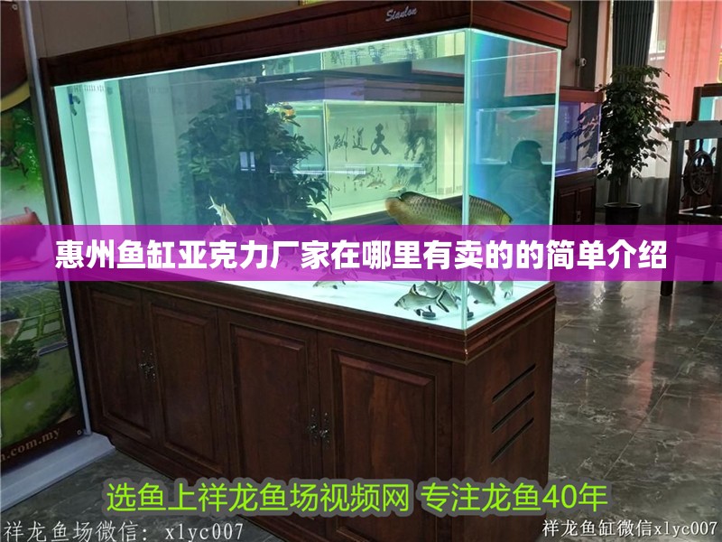 惠州魚缸亞克力廠家在哪里有賣的的簡單介紹