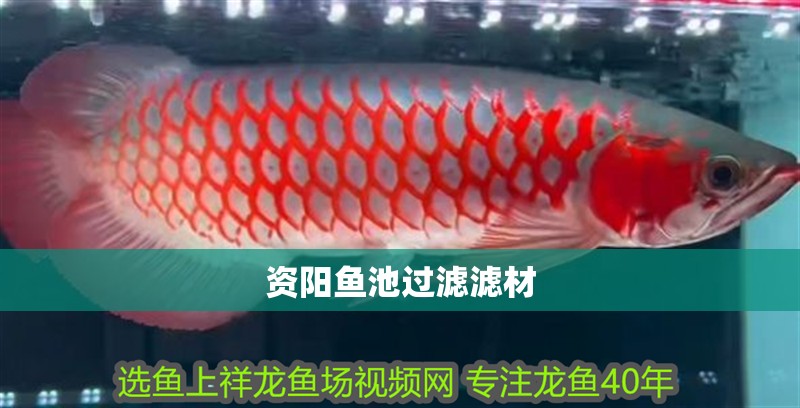 資陽魚池過濾濾材