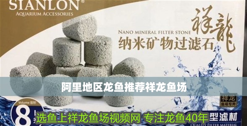 阿里地區龍魚推薦祥龍魚場