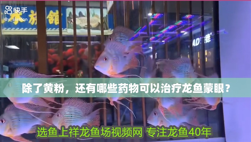 除了黃粉，還有哪些藥物可以治療龍魚蒙眼？