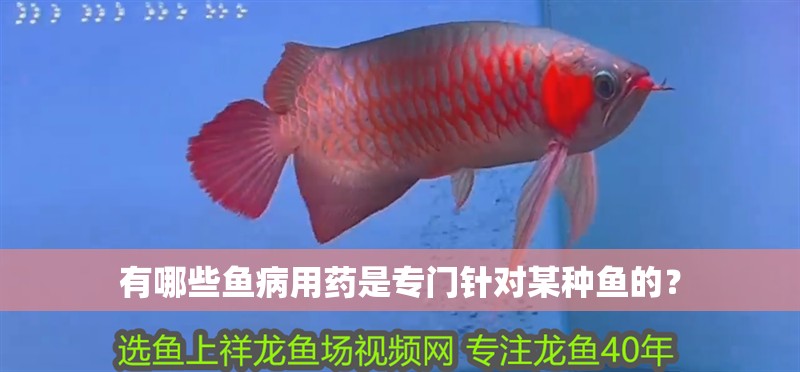 有哪些魚病用藥是專門針對某種魚的？