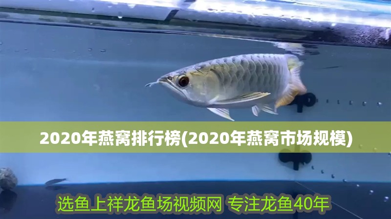 2020年燕窩排行榜(2020年燕窩市場(chǎng)規(guī)模)