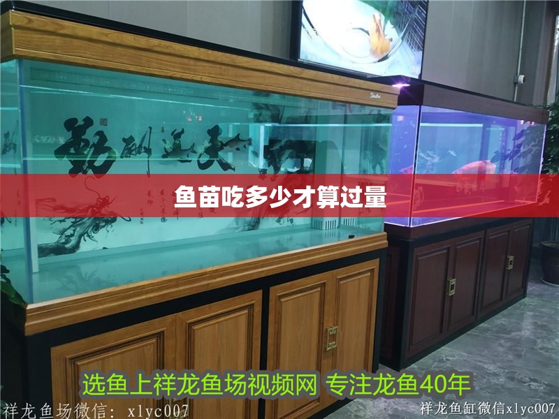 魚苗吃多少才算過量