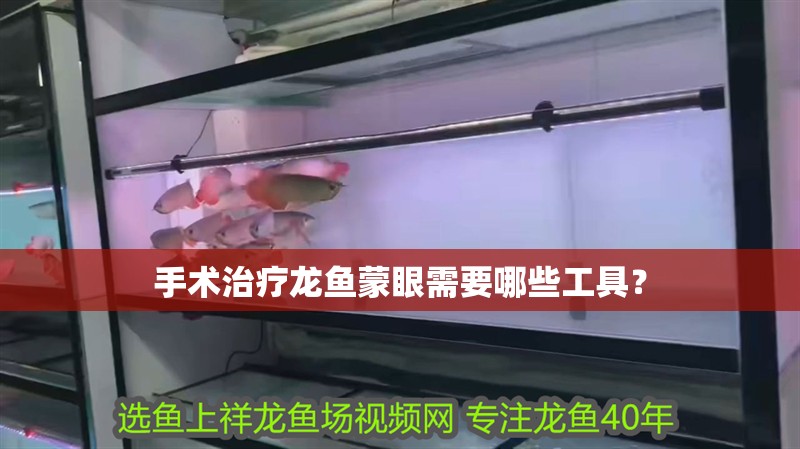 手術治療龍魚蒙眼需要哪些工具？ 手術治療龍魚蒙眼需要哪些工具？ 龍魚百科