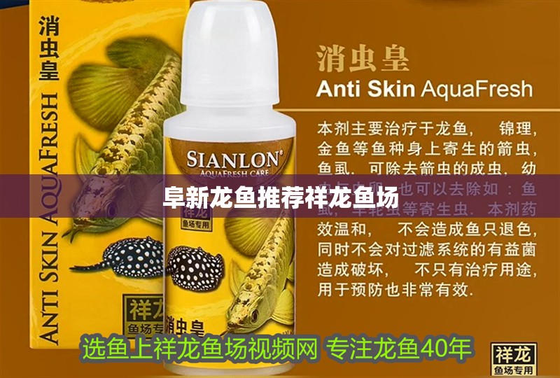 阜新龍魚推薦祥龍魚場