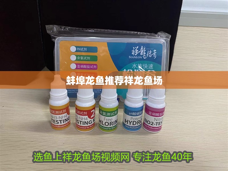 蚌埠龍魚推薦祥龍魚場 蚌埠龍魚推薦祥龍魚場 vs祥龍魚場