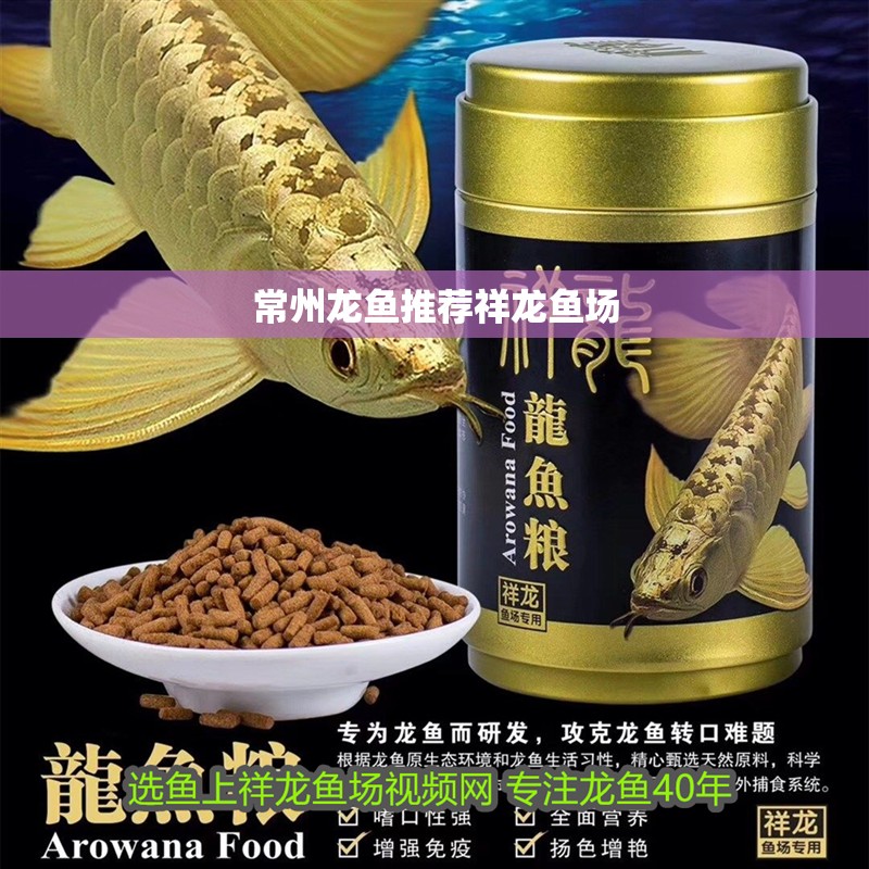 常州龍魚推薦祥龍魚場
