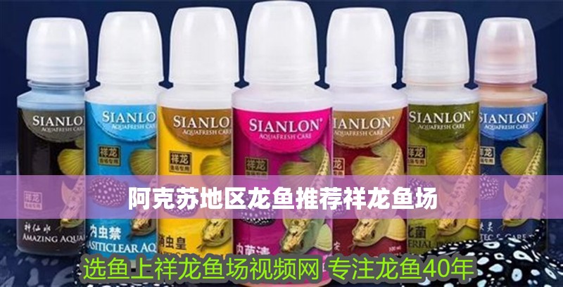 阿克蘇地區龍魚推薦祥龍魚場