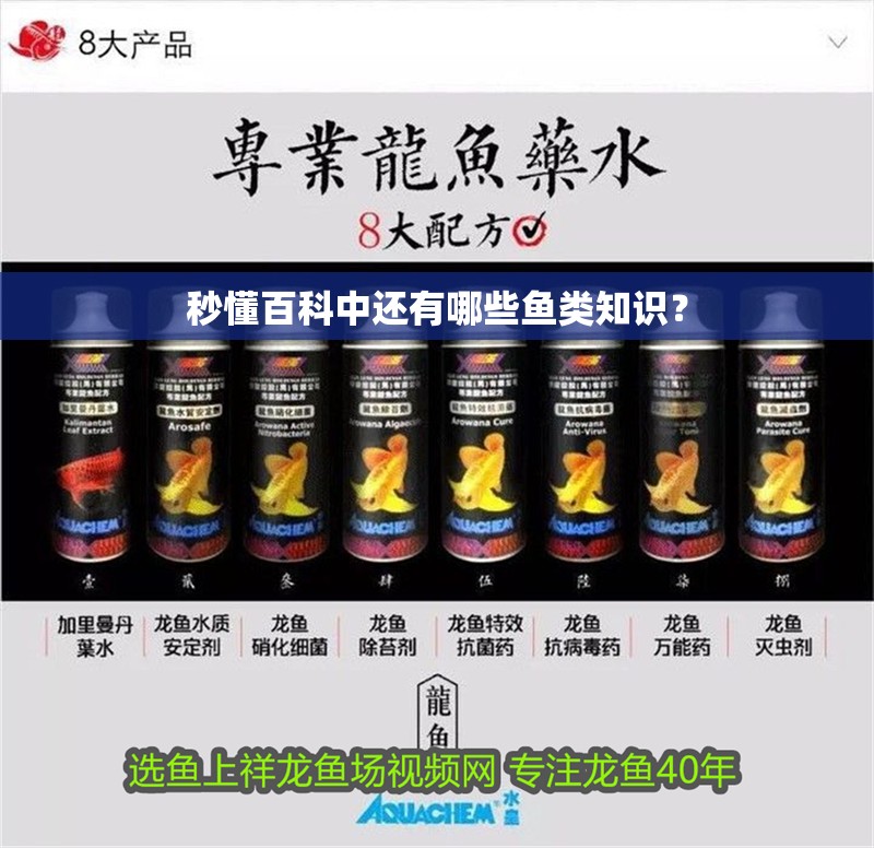 秒懂百科中還有哪些魚類知識？