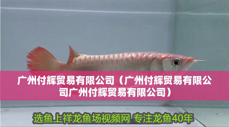 廣州付輝貿(mào)易有限公司（廣州付輝貿(mào)易有限公司廣州付輝貿(mào)易有限公司）