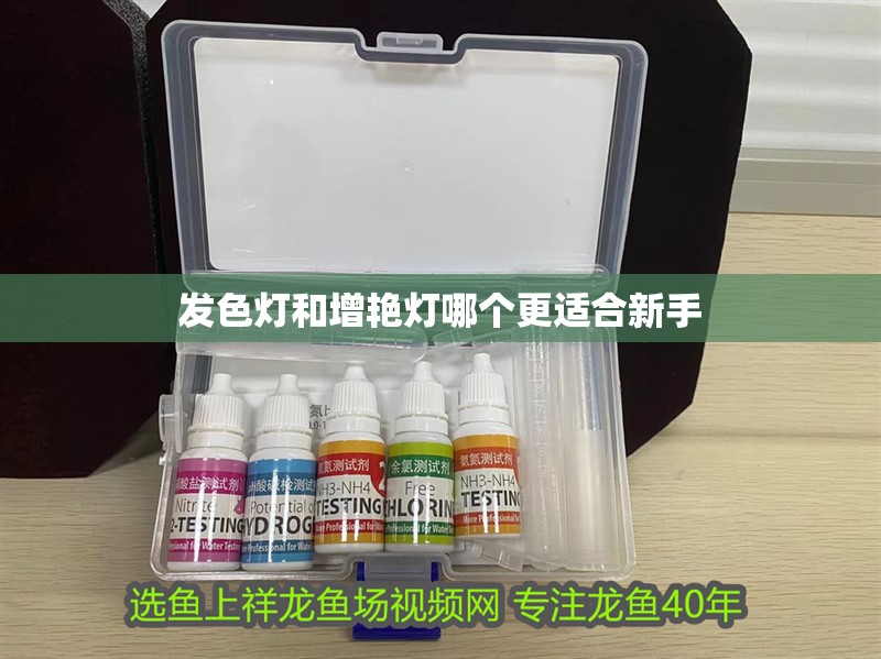 發色燈和增艷燈哪個更適合新手