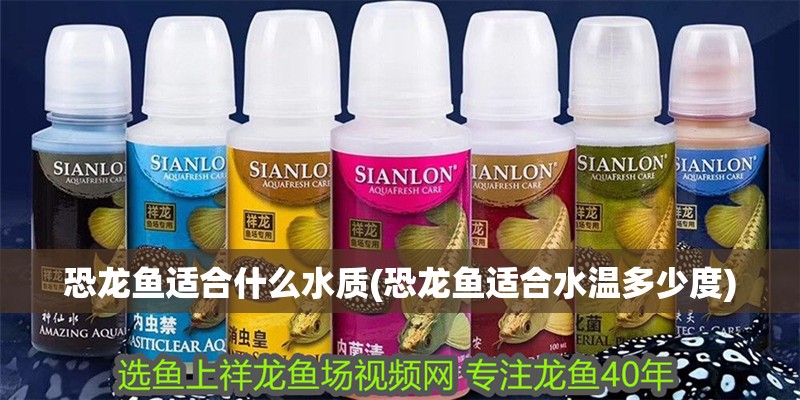 恐龍魚適合什么水質(zhì)(恐龍魚適合水溫多少度)
