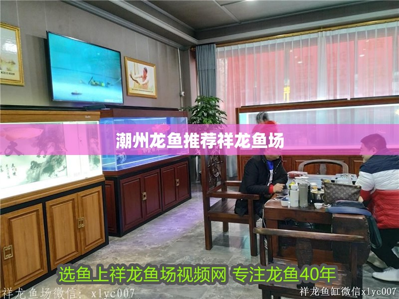 潮州龍魚推薦祥龍魚場