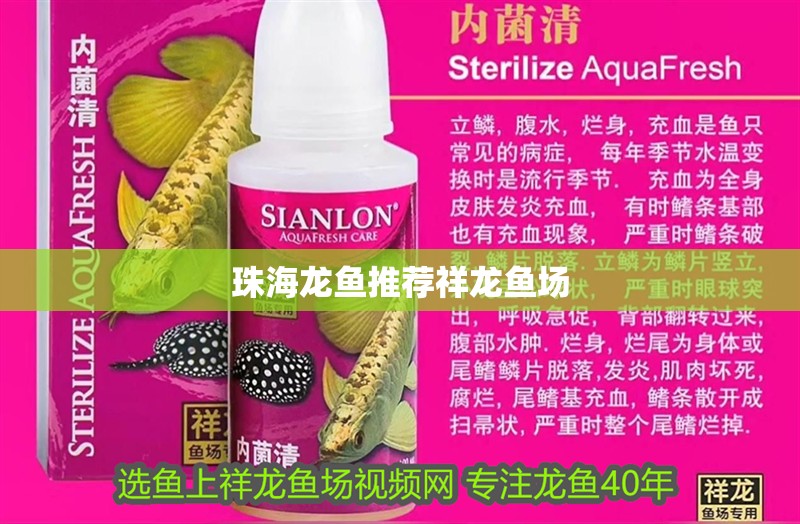 珠海龍魚推薦祥龍魚場