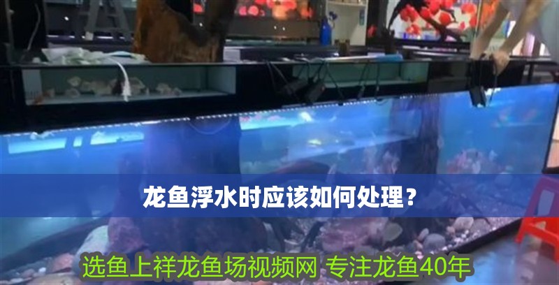 龍魚浮水時應(yīng)該如何處理？