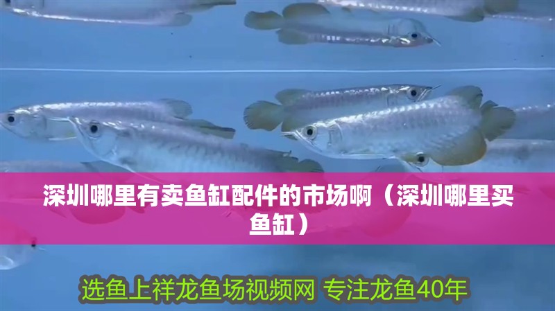 深圳哪里有賣魚缸配件的市場啊（深圳哪里買魚缸）