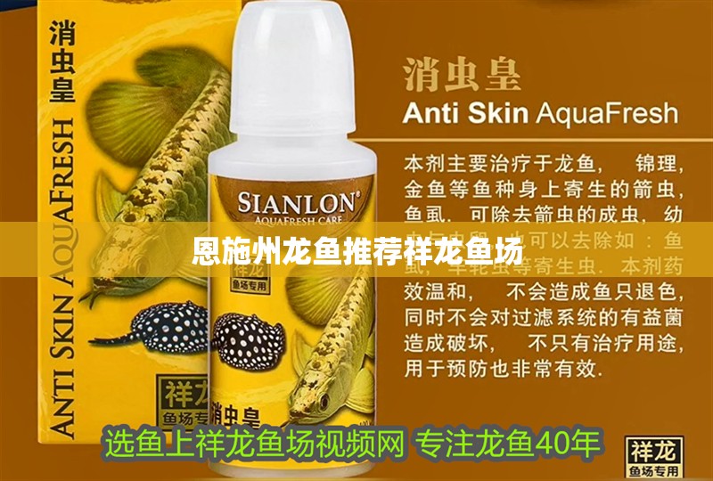 恩施州龍魚推薦祥龍魚場